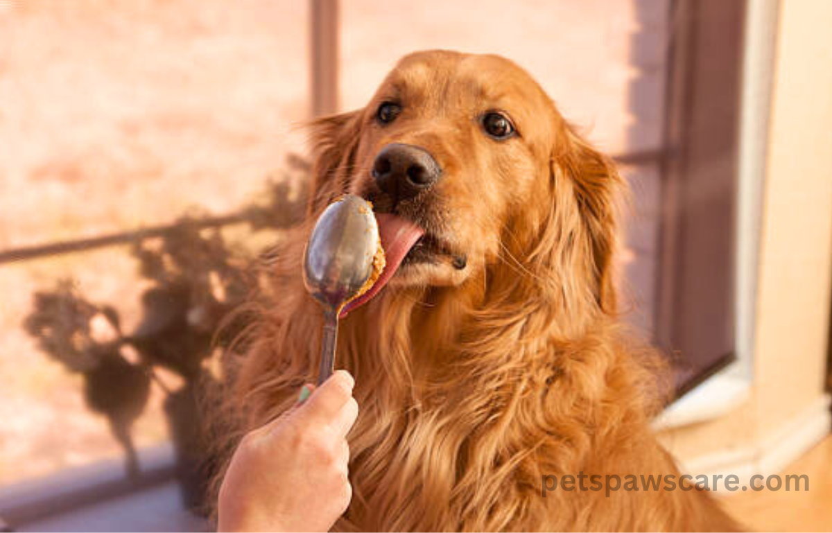 dogs and almond butter