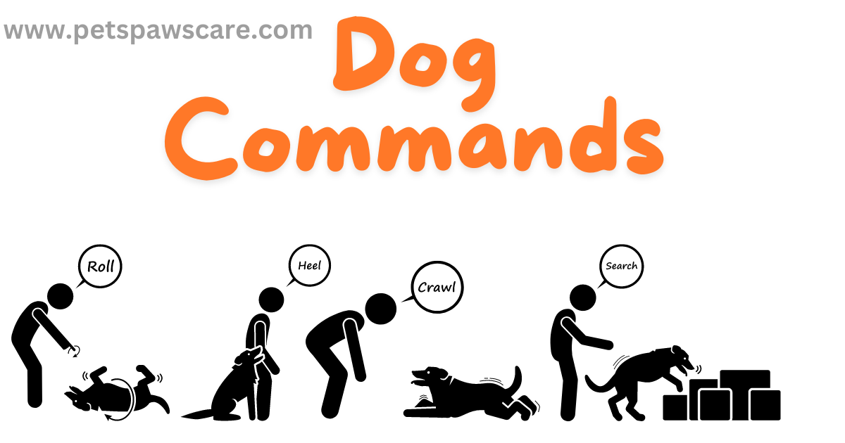 essential dog commands