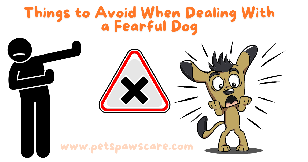 Things to Avoid When Dealing With a Fearful Dog 