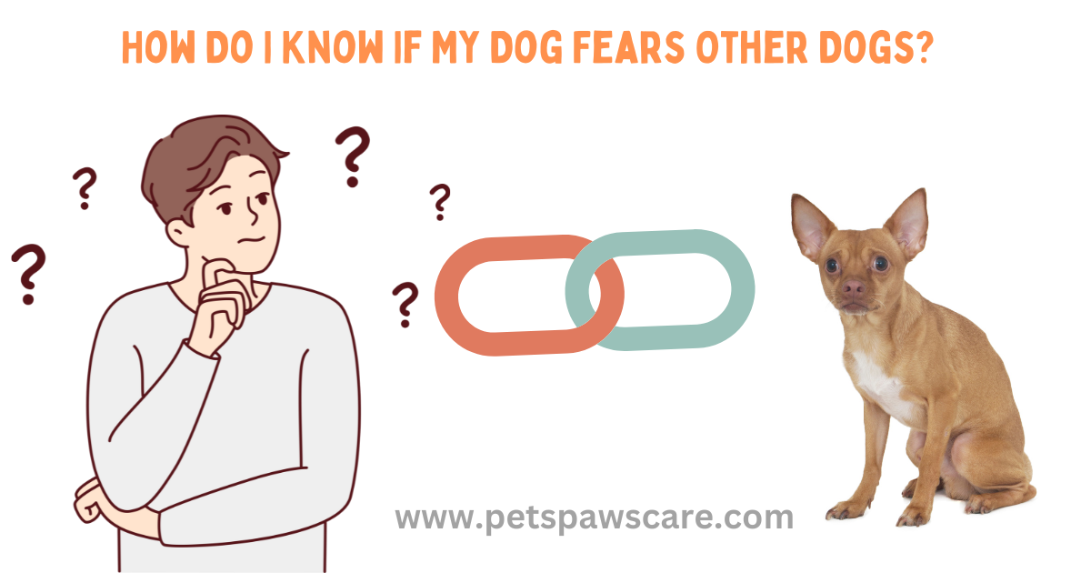 how do i know if my dog fear other dogs