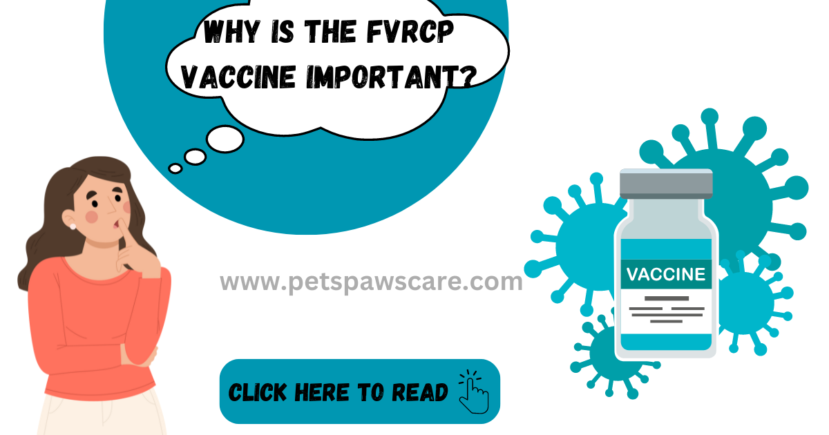 FVRCP Vaccine for cats