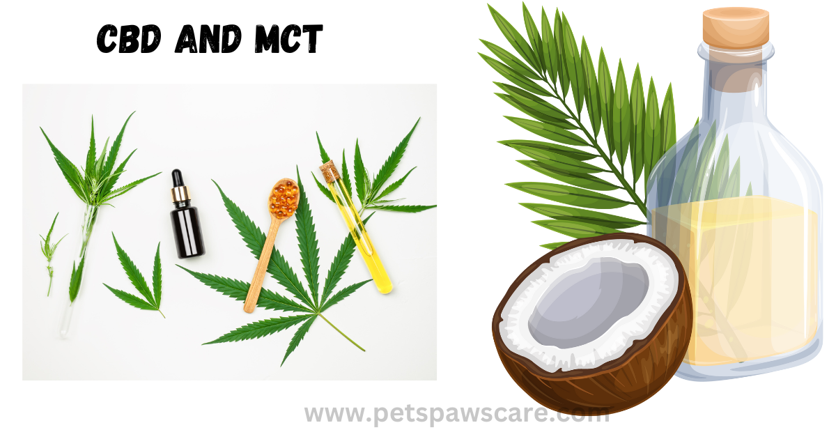 CBD and MCT