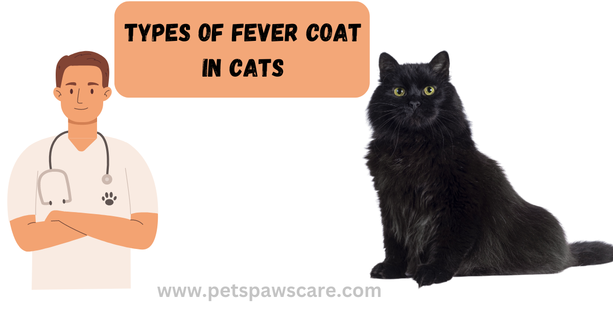 types of fever coat in cats