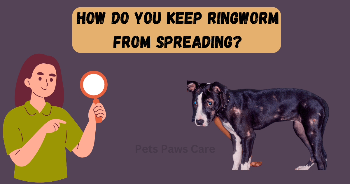 How do you keep ringworm from spreading?