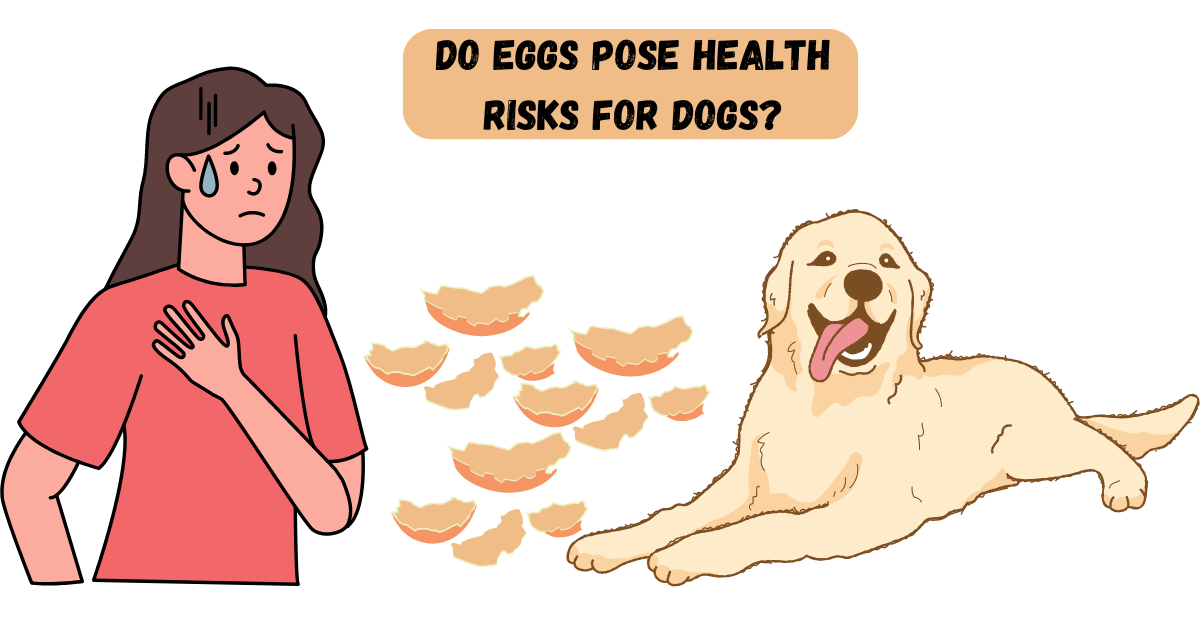 can dogs eat chicken egg shells