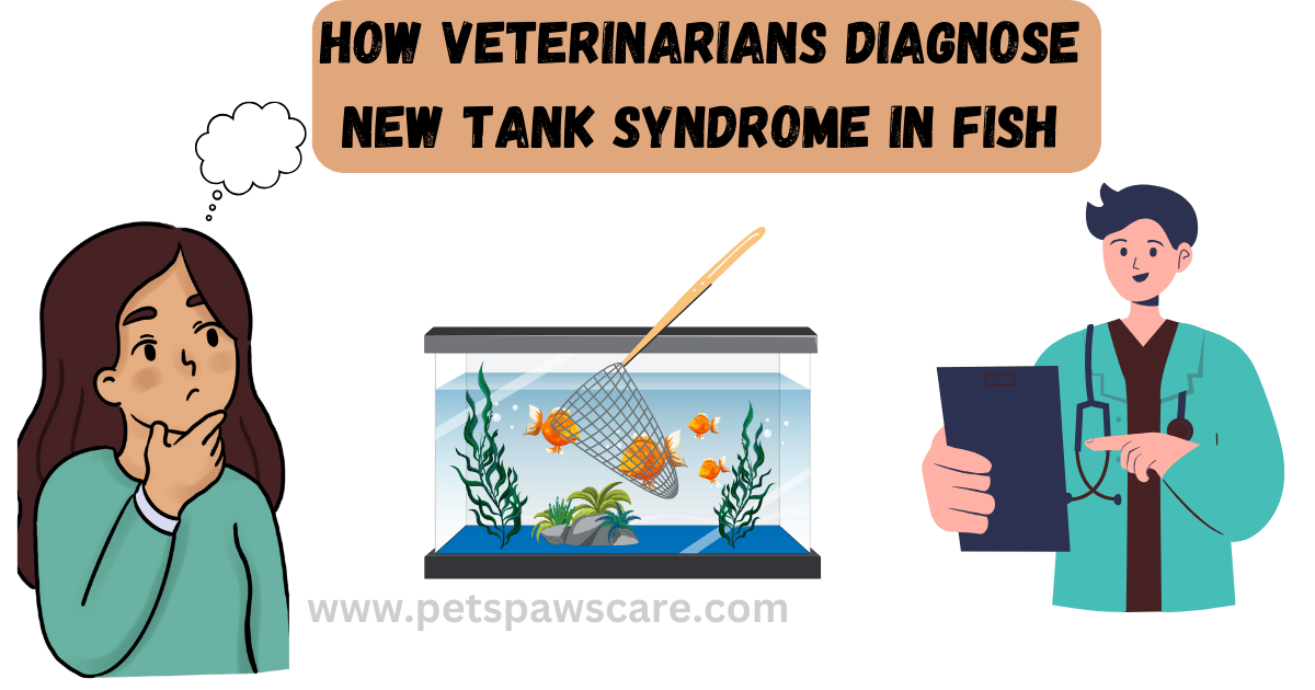 How Veterinarians Diagnose New Tank Syndrome in Fish