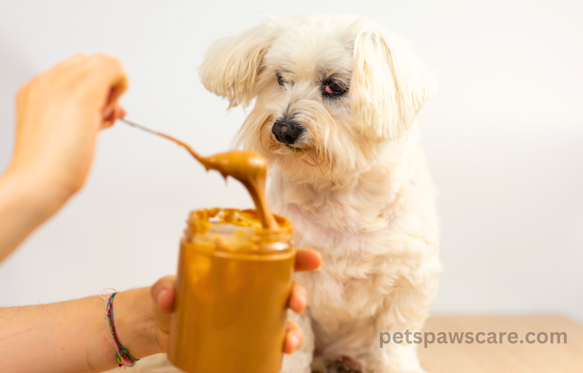 can dogs have almond butter