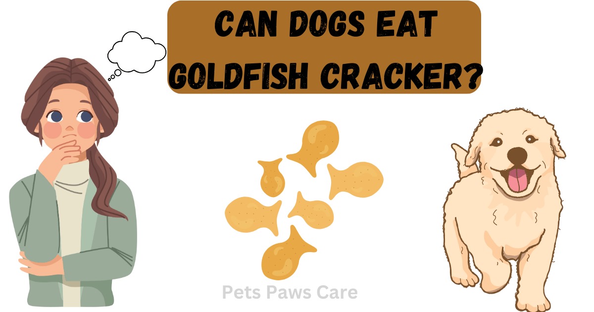 can dogs eat goldfish crackers