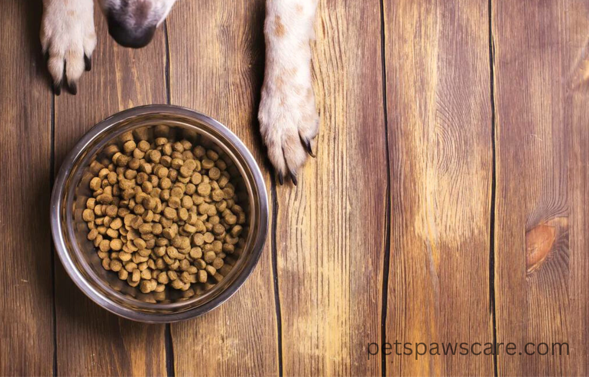 what is chicken meal in dog food