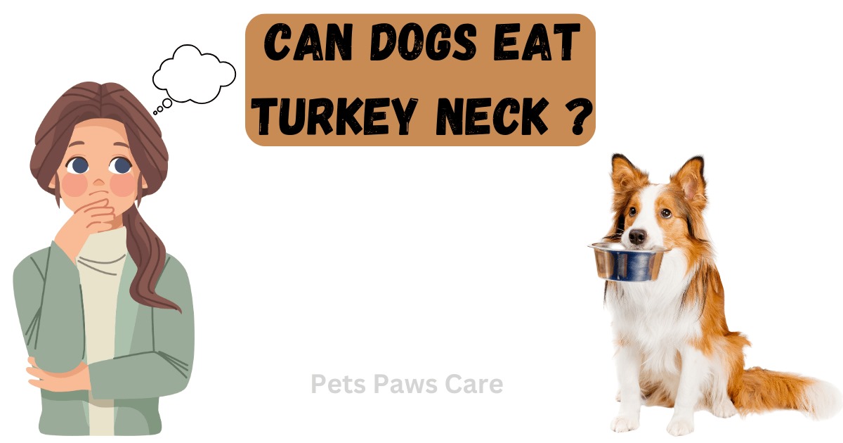 can dogs eat turkey neck