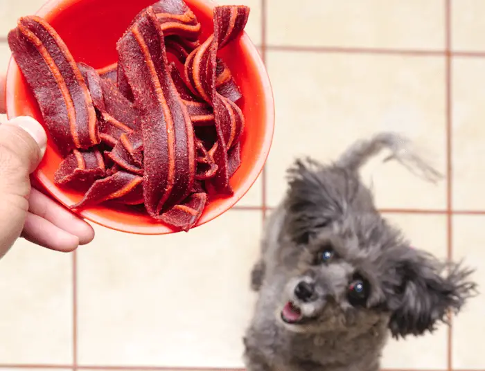 Can Dogs Eat Raw Bacon