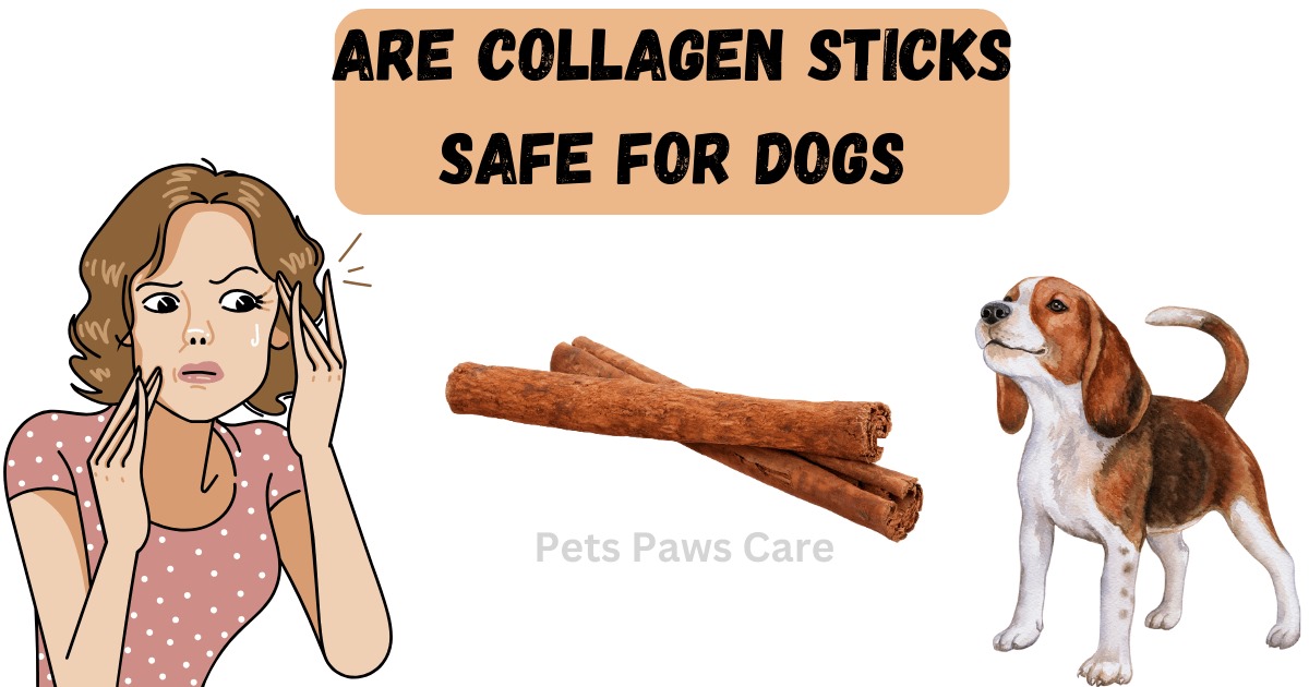 Are Collagen Sticks Safe for Dogs