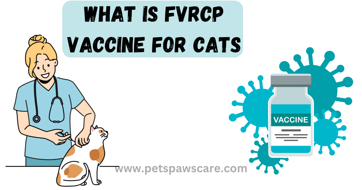 FVRCP Vaccine