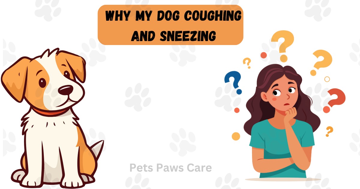 dog coughing and sneezing