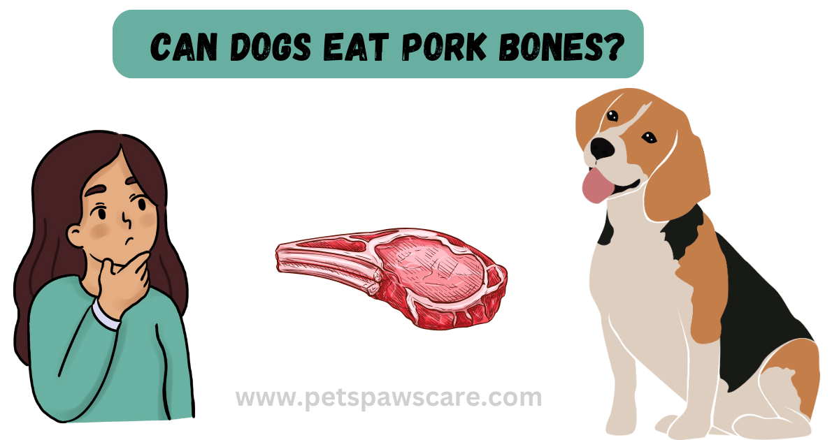 Can Dogs Eat Pork Bones?